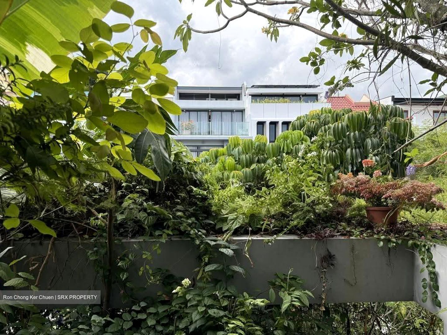 Opera Estate (D15), Terrace #626088191